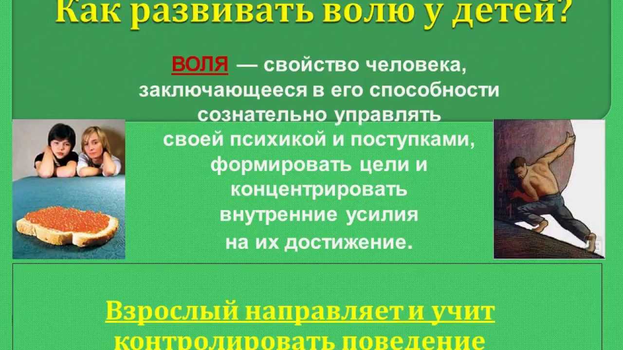 Воля и возраст. как в течение жизни меняется и развивается сила воли