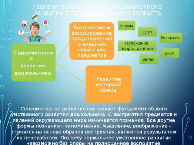 Сенсомоторное развитие детей раннего возраста | дошкольное образование  | современный урок