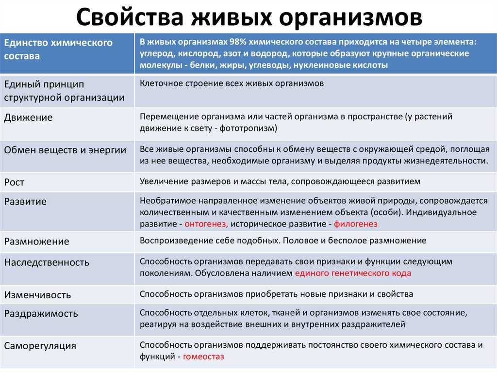 Вышколенный: что это значит и кем может быть?