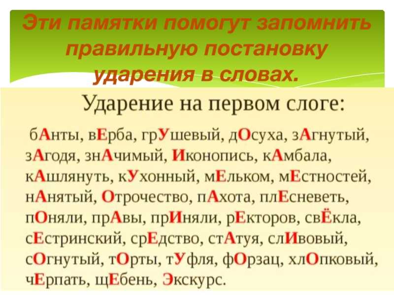 Как за десять лет изменились правила русского языка: от кофе в среднем роде до карате