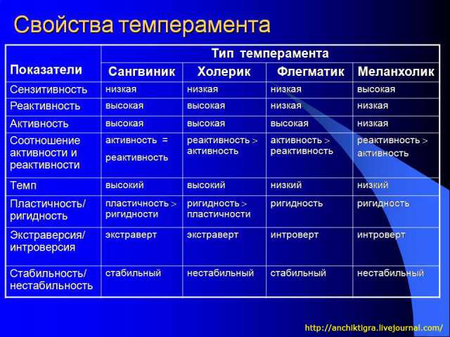 С какого возраста принимают в первый класс: во сколько лет лучше отдать ребенка в школу и не навредить ему?