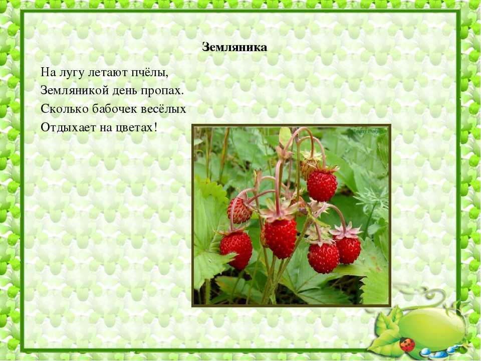 Тест на сексуальность «клубничная поляна»