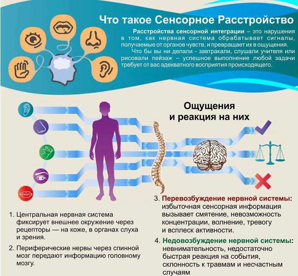 Развитие сенсорной интеграции у детей дошкольного возраста