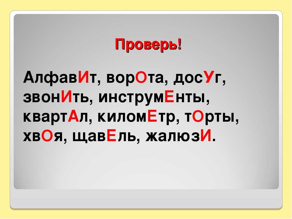 Рецепты шашлыка и маринада для мяса: встречаем майские праздники во всеоружии