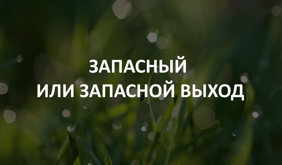 Запасный ударение на какой слог (4 видео) | история русского языка 📕