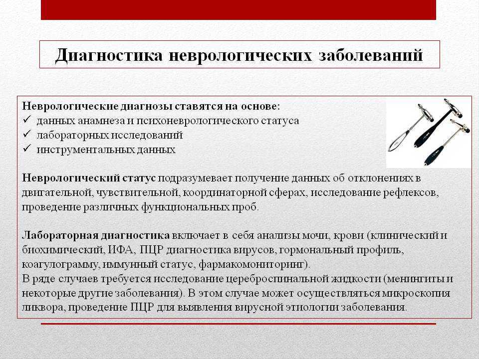 Неврологический статус в детской логопедии: причины и лечение