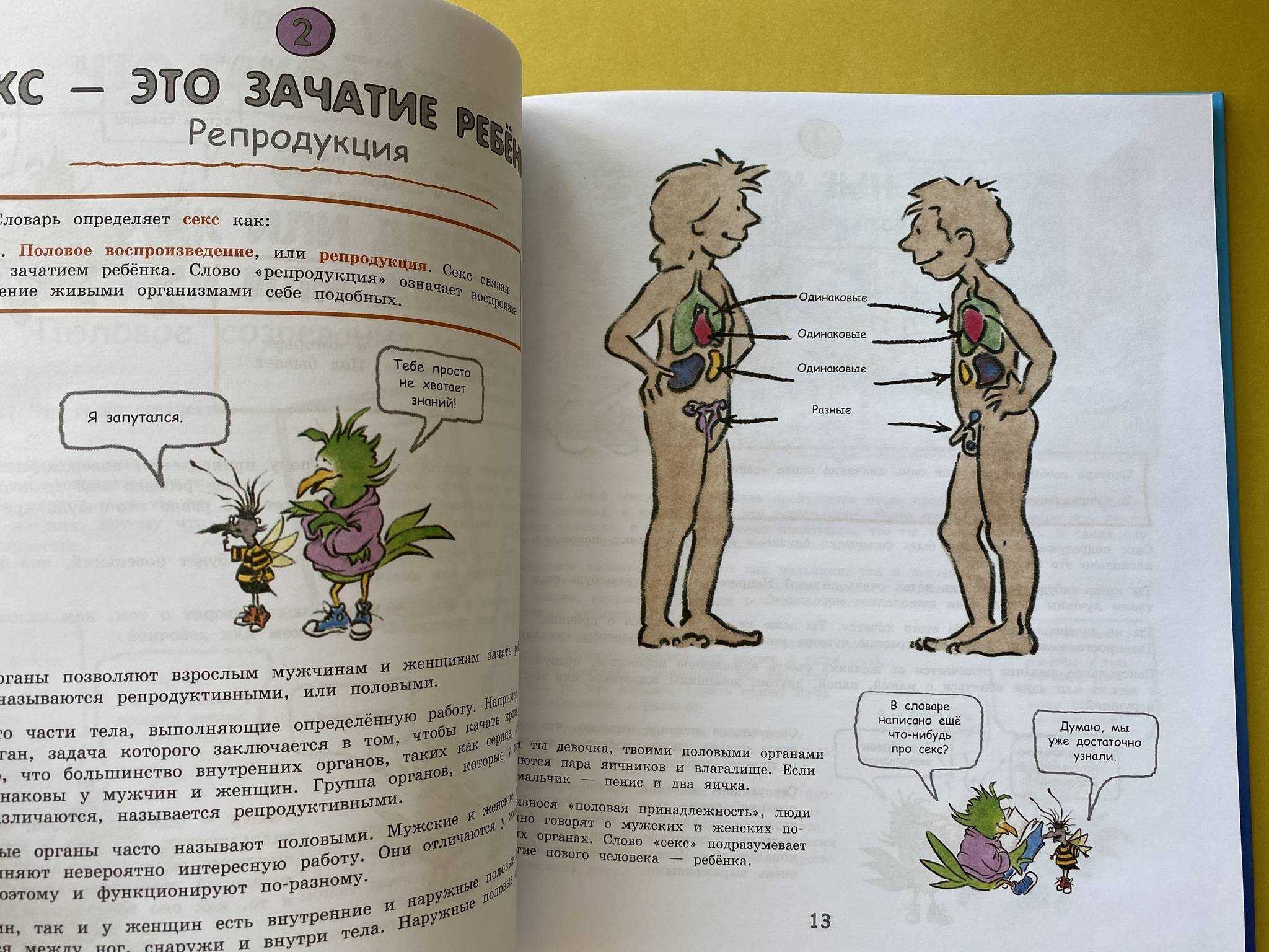 Половое воспитание детей и подростков с 2 до 18 лет: как и что рассказать о сексе, какие использовать книги и фильмы