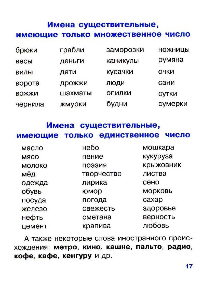 Изменение имени существительного по числам: примеры — journal ua