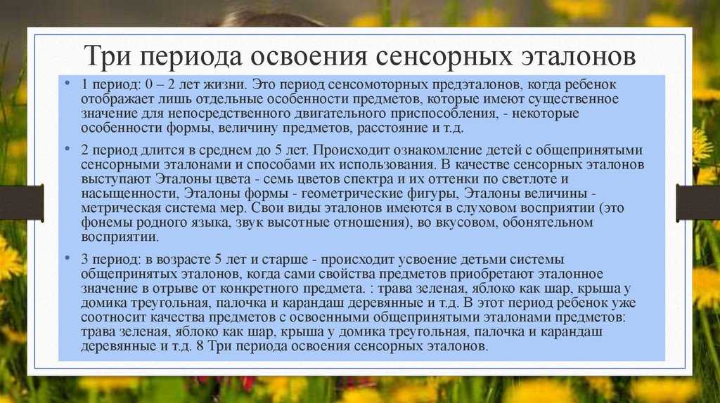 Развитие пространственных представлений