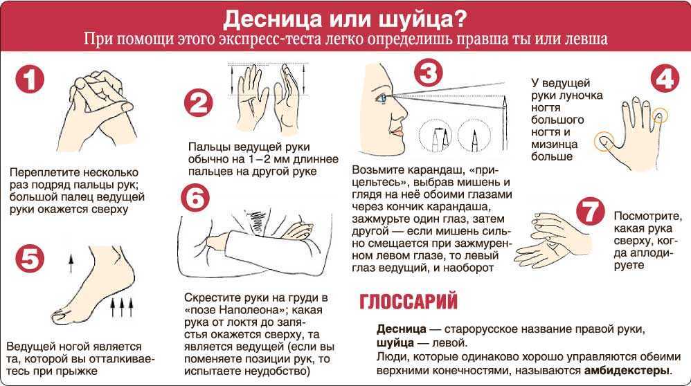 Как определить левша или правша ребенок?