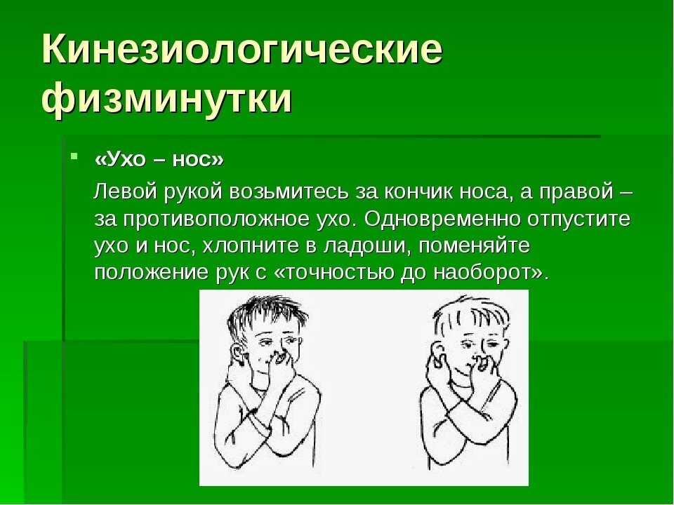 Презентация на тему "нейрогимнастика для развития межполушарного взаимодействия у детей дошкольного возраста." по физкультуре