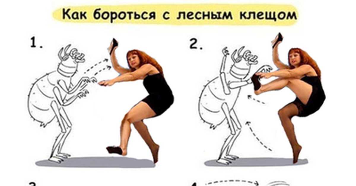 Борются или борятся - как правильно пишется слово | ism-print.ru