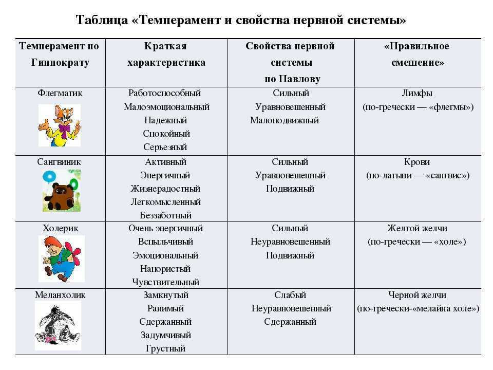 Какой тип темперамента самый лучший и как определить его?