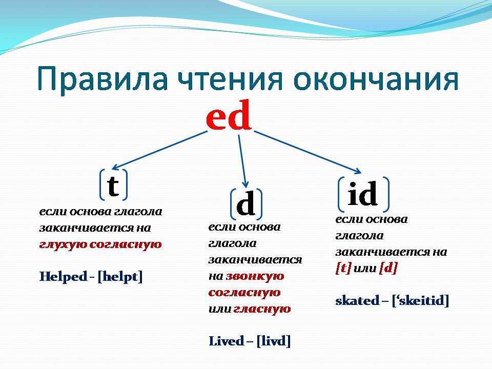 Уроки правильного ударения: как расставить ударение в слове «кедровый»