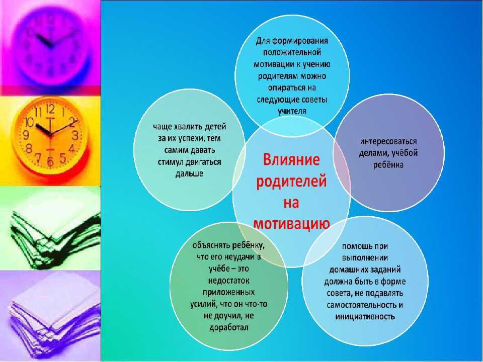 Как заинтересовать ребенка учебой, если он не хочет учиться? | сила лиса
