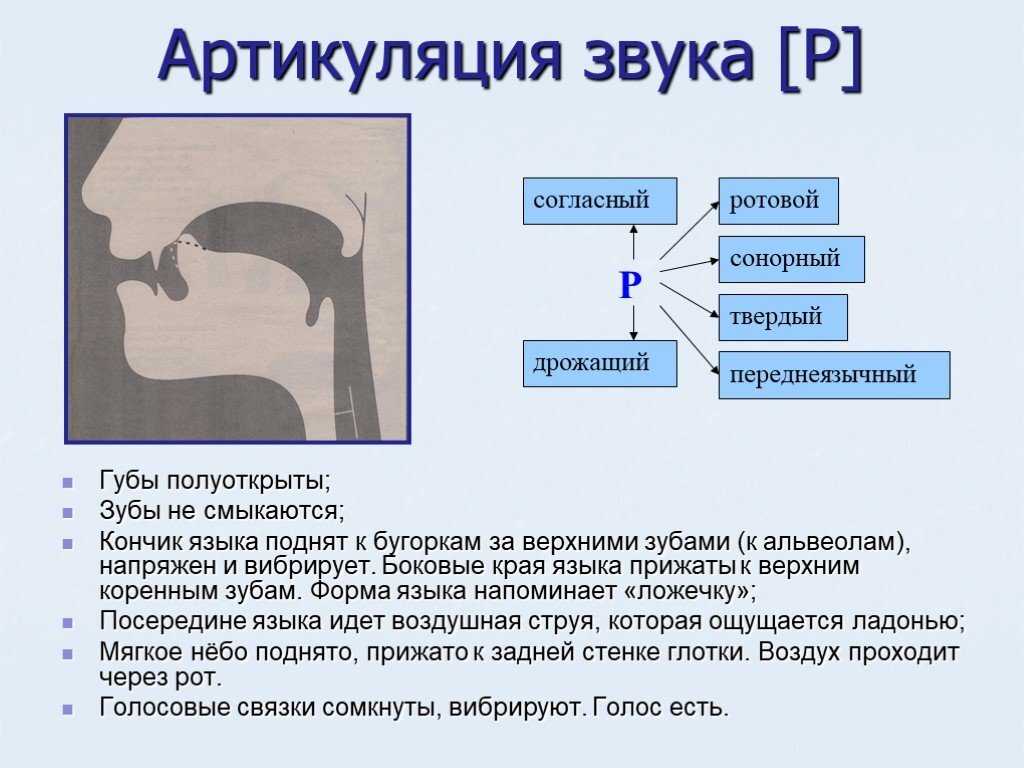 Как научиться говорить звук р: постановка звука р у детей