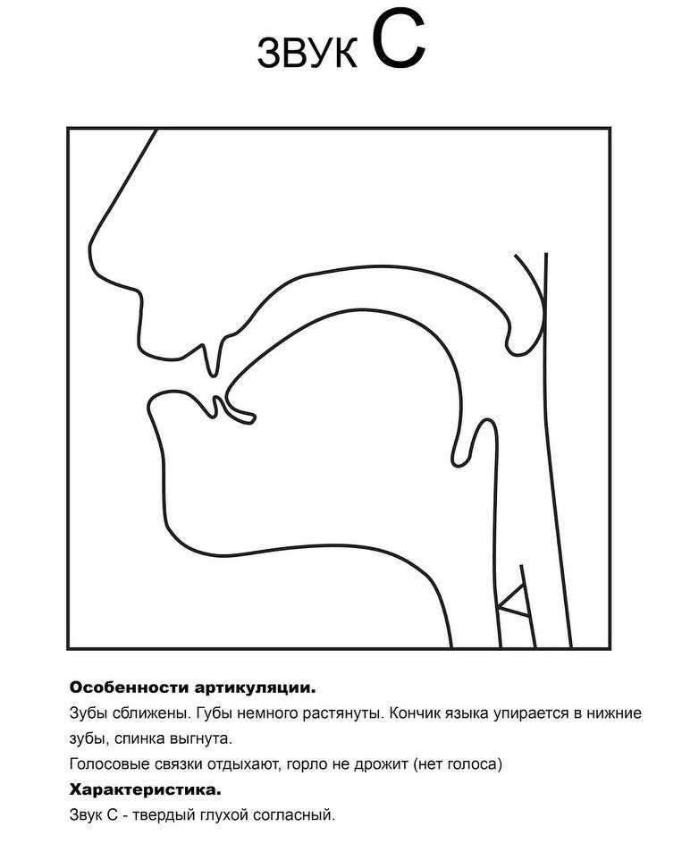 Постановка звука «д»