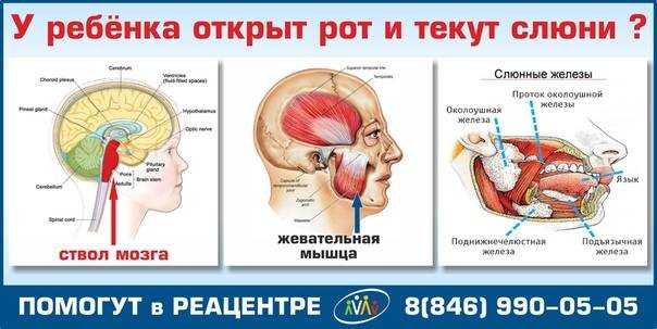 Повышенное слюноотделение у собак: причины, симптомы, лечение, прогноз и меры профилактики | блог ветклиники "беланта"