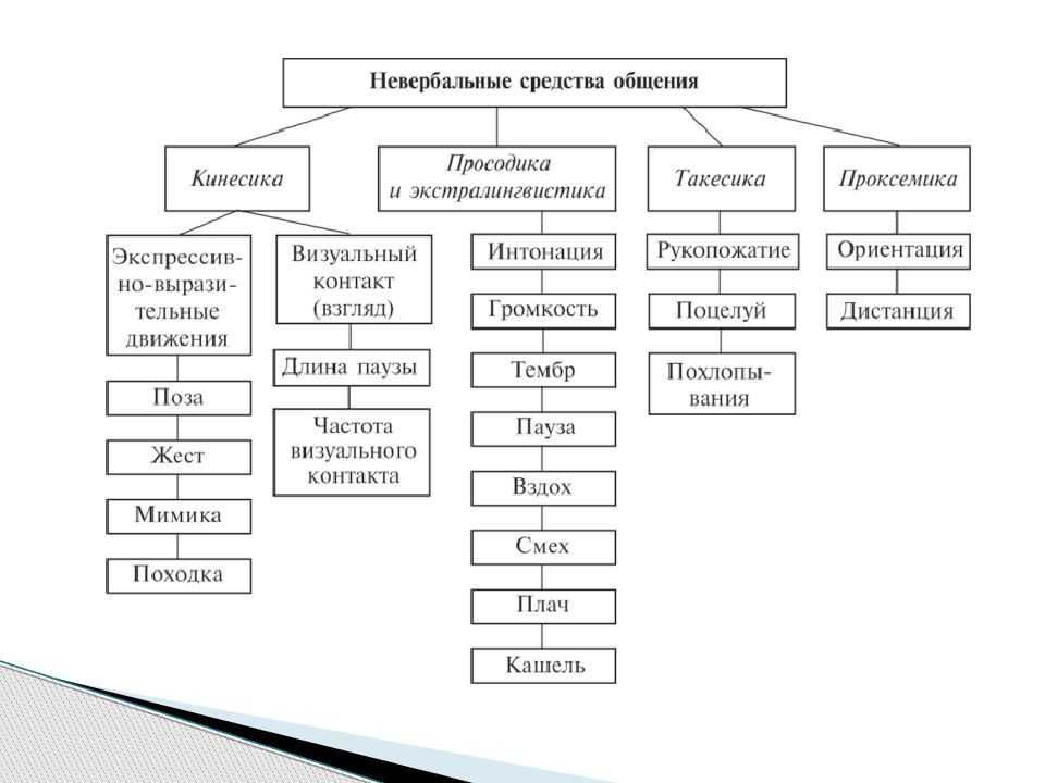 Невербальное общение – жесты, виды, особенности