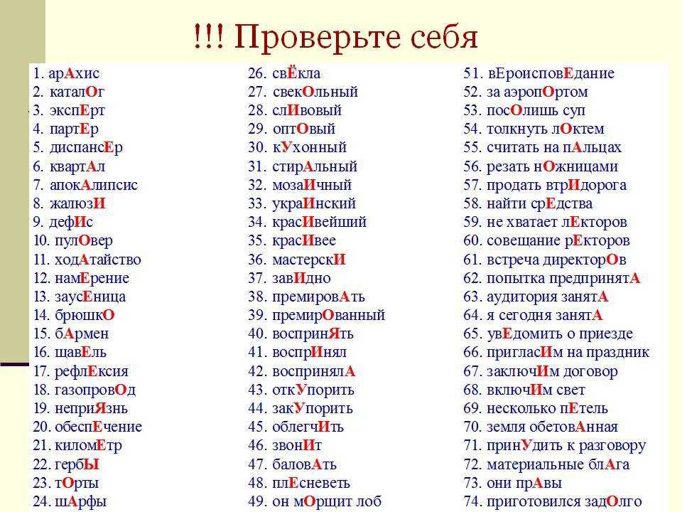 Русский и литература 865: грамотность на «меле»