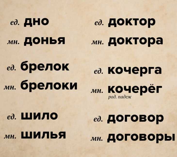 Ответы на sdamgia