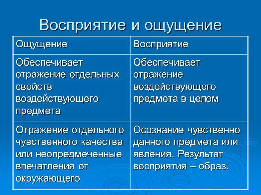 Лекция 6. психические познавательные процессы. деловая психология