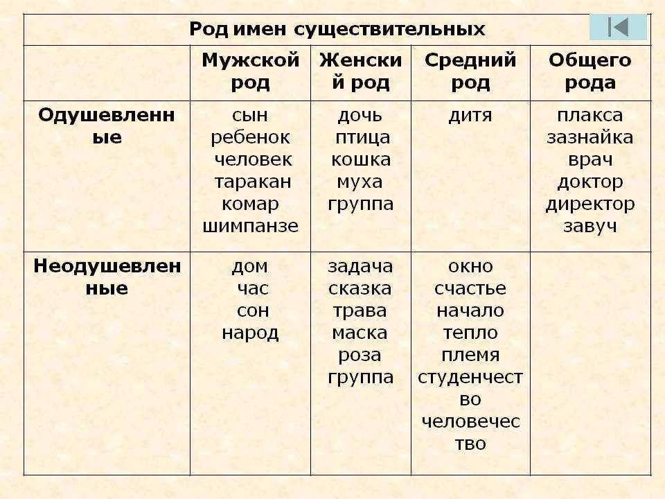 Как приготовить свежую брокколи на сковороде и в духовке — 16 рецептов для блюд, которые нравятся всем!