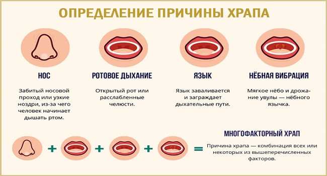 Что делать, если ребенок храпит во сне – советы доктора комаровского 2024
