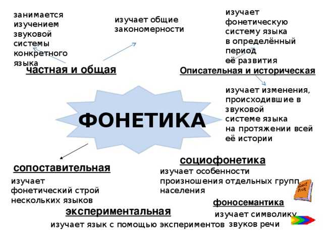 Фонетика и фонология (термины)