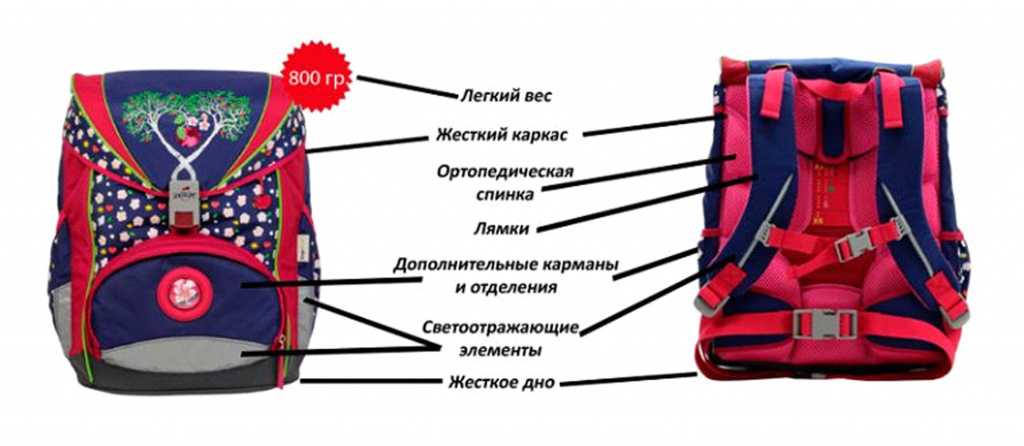 В чем разница между портфелем и рюкзаком? - ответы на вопросы