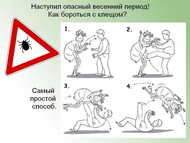 «борятся» или «борются» — как пишется?