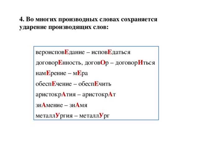 Русский и литература 865: грамотность на «меле»