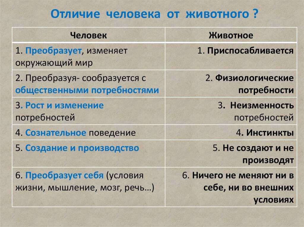 Спряжение глаголов: как не допускать ошибок?