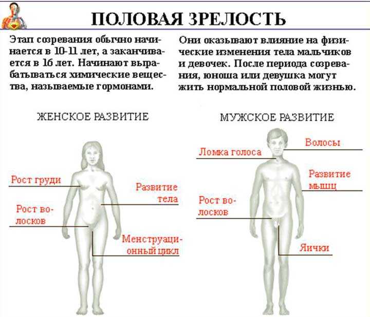 По каким причинам не растёт грудь у женщины.достоинства миниатюрных форм