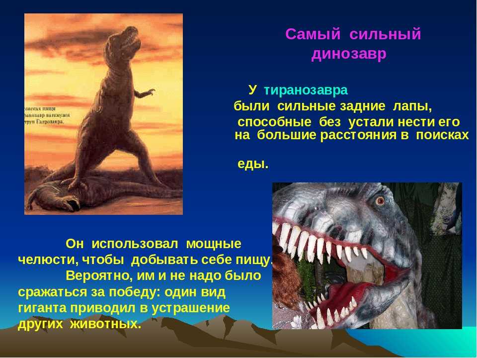 Интересные факты о динозаврах