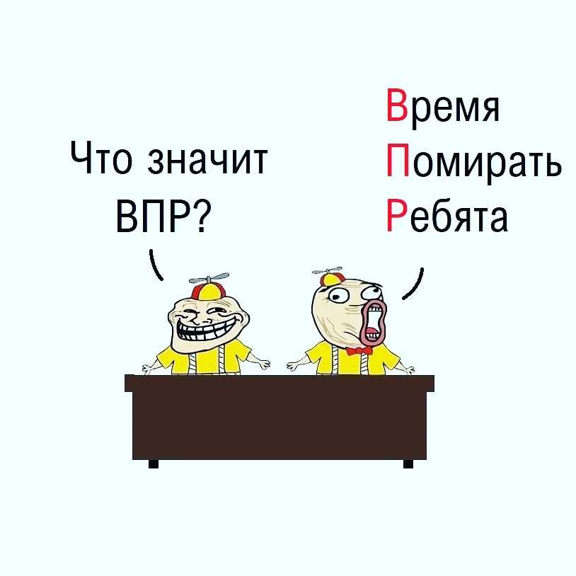 Инструкция: оформляем школьное положение по впр