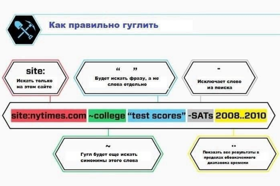 Русский медвежонок 8-9 класс 15 ноября 2023: ответы на вопросы
