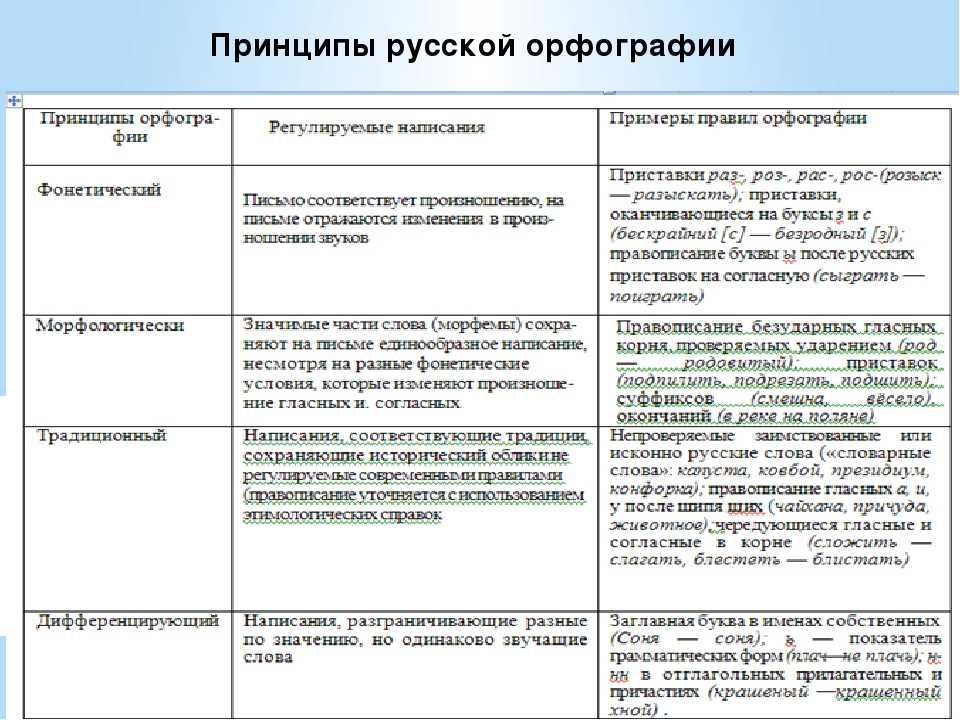 25 слов, в написании которых многие делают ошибки