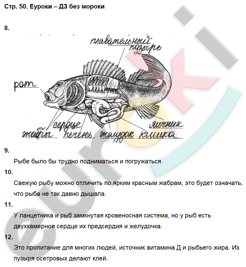 Задание по биологии 7 класс - страна мам