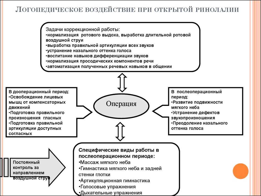 Принципы и методы логопедического воздействия при формировании звуковой стороны речи у детей с ффн