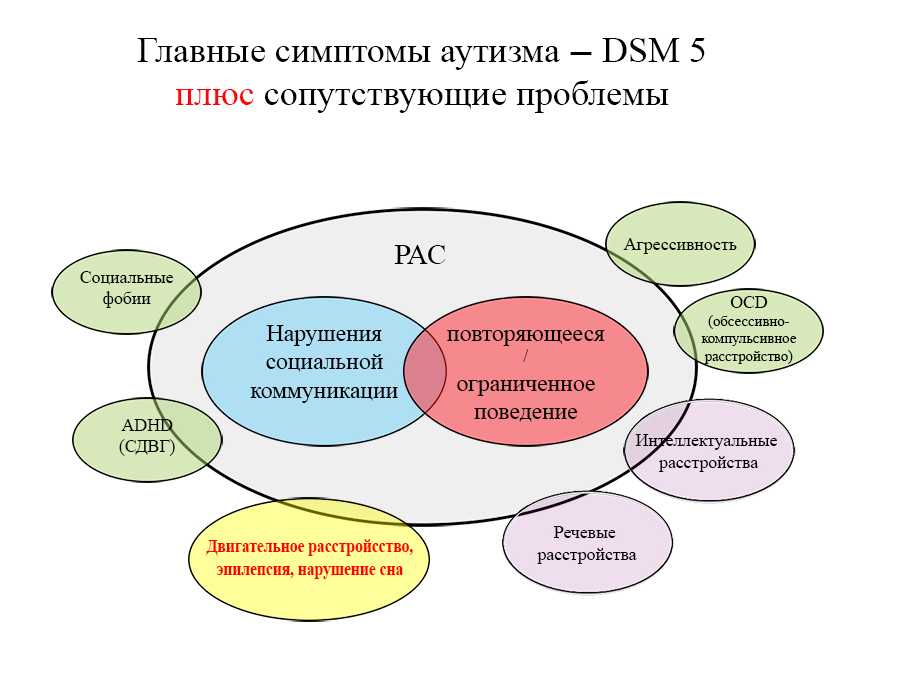 Расстройство аутистического спектра - что нужно знать