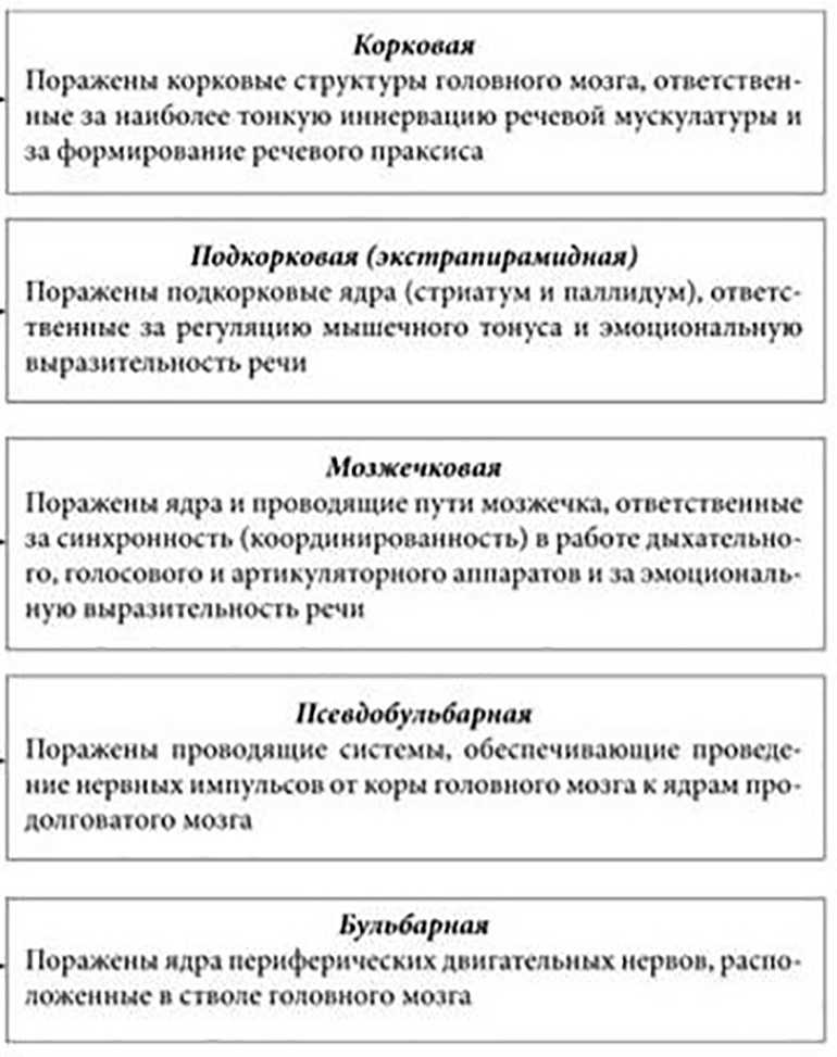 Формы дизартрии у взрослых. | логопед по скайпу