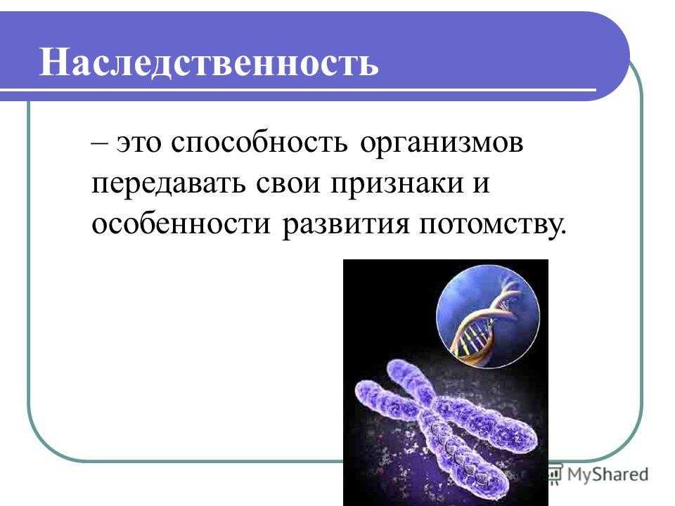 Доктора психологи -  психология семьи. наследственность и среда