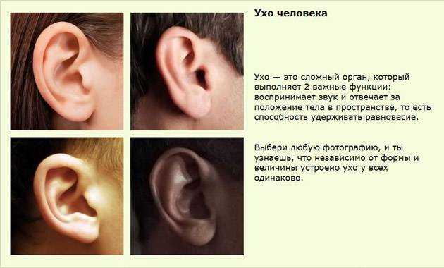 Ухо востро или ухо в остро: как правильно пишется и как различить?