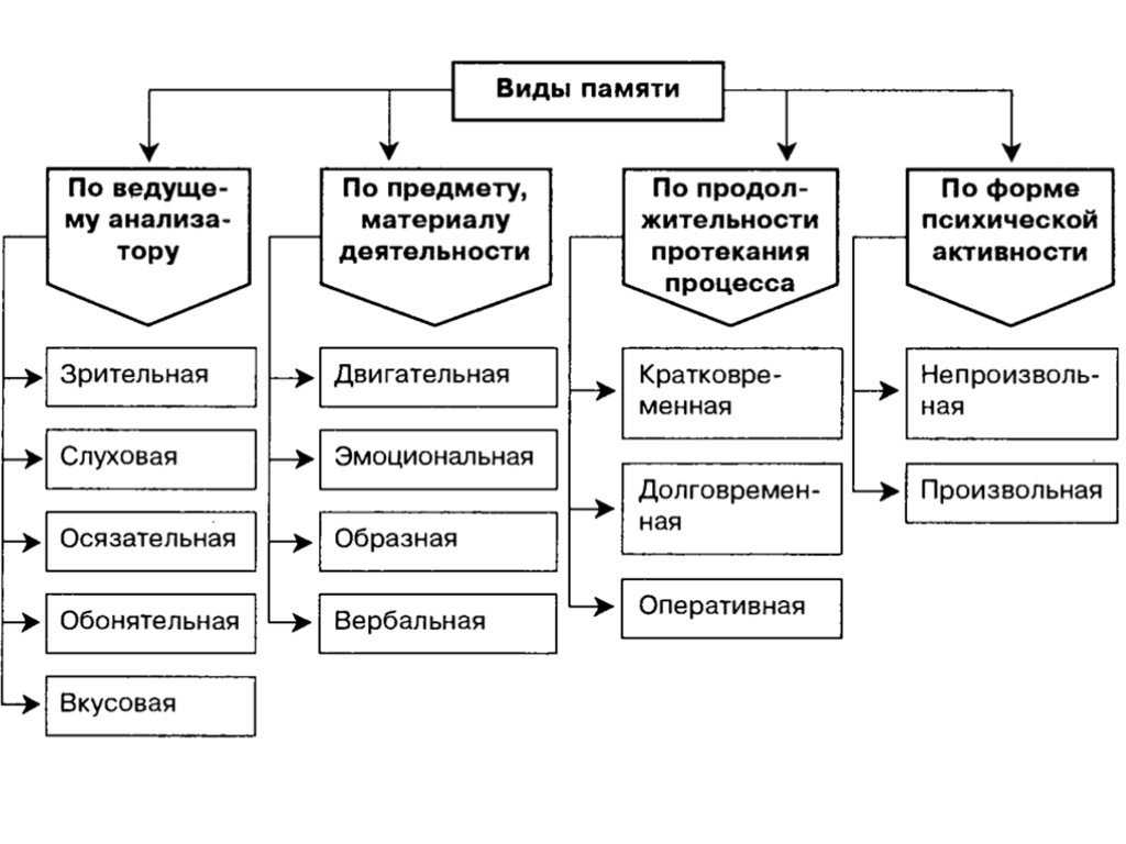 Развитие памяти у детей дошкольного возраста кратко, механическая память
