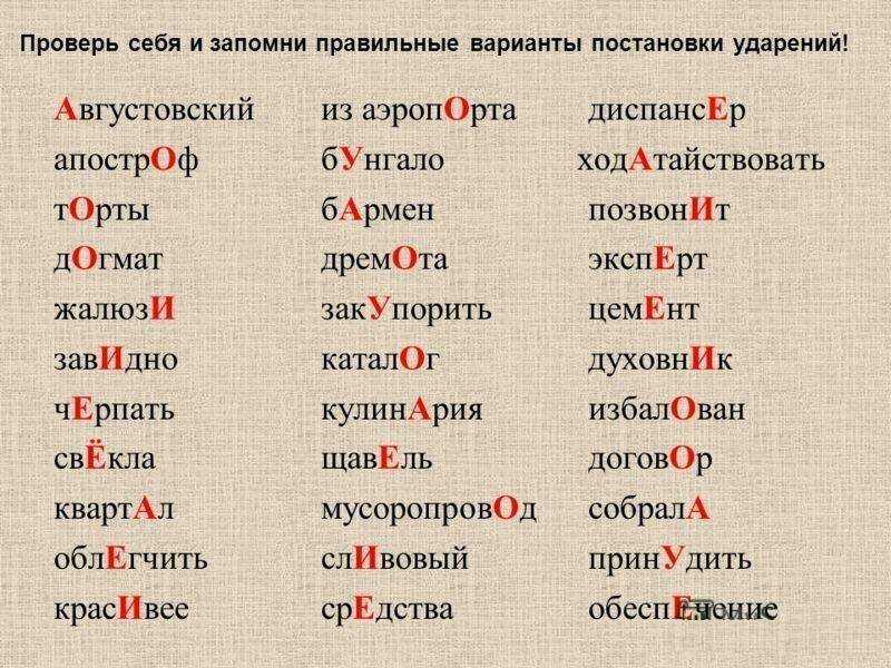 Постановка ударения в слове "занята", значения и употребление