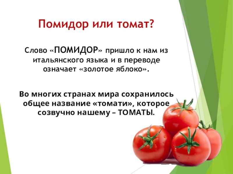 Если даже вы не любите помидоры и никогда не готовите салат, поручиться за то, что вас никогда не настигнет ошибка в произнесении слова помидор в родительном падеже множественного числа, нельзя И поэтому запоминайте