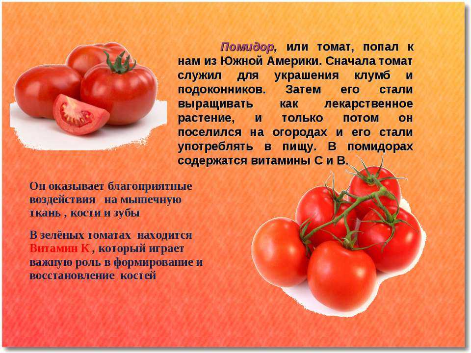 Запомните! а лучше запишите!