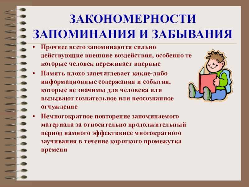 Нейрофизиологические основы памяти