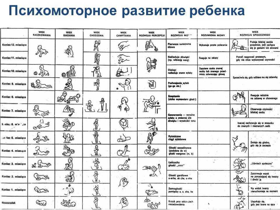 Обучение детей раннего возраста с психомоторной задержкой развития (зпр)
